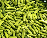 Gherkin In Vinegar/ Acetic acid/ Brine